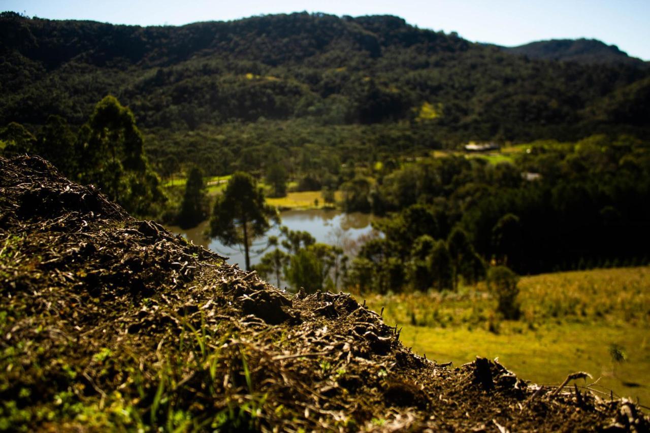 Yahoo Ecolodge Rio Rufino Bagian luar foto