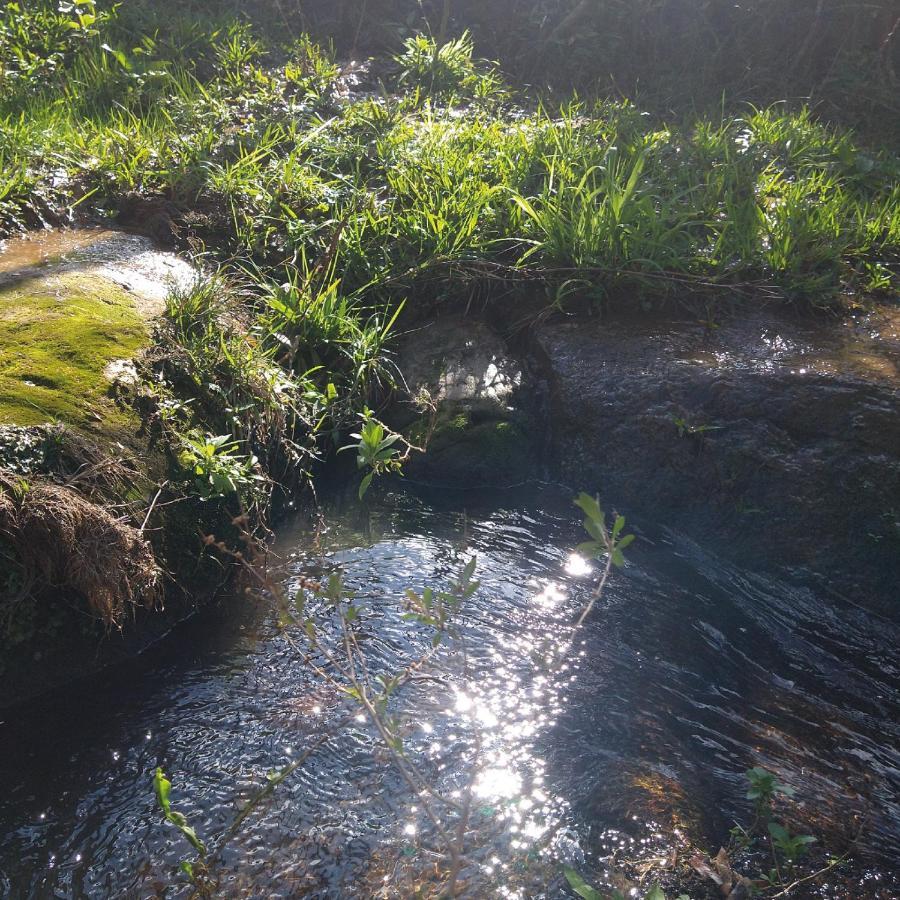 Yahoo Ecolodge Rio Rufino Bagian luar foto