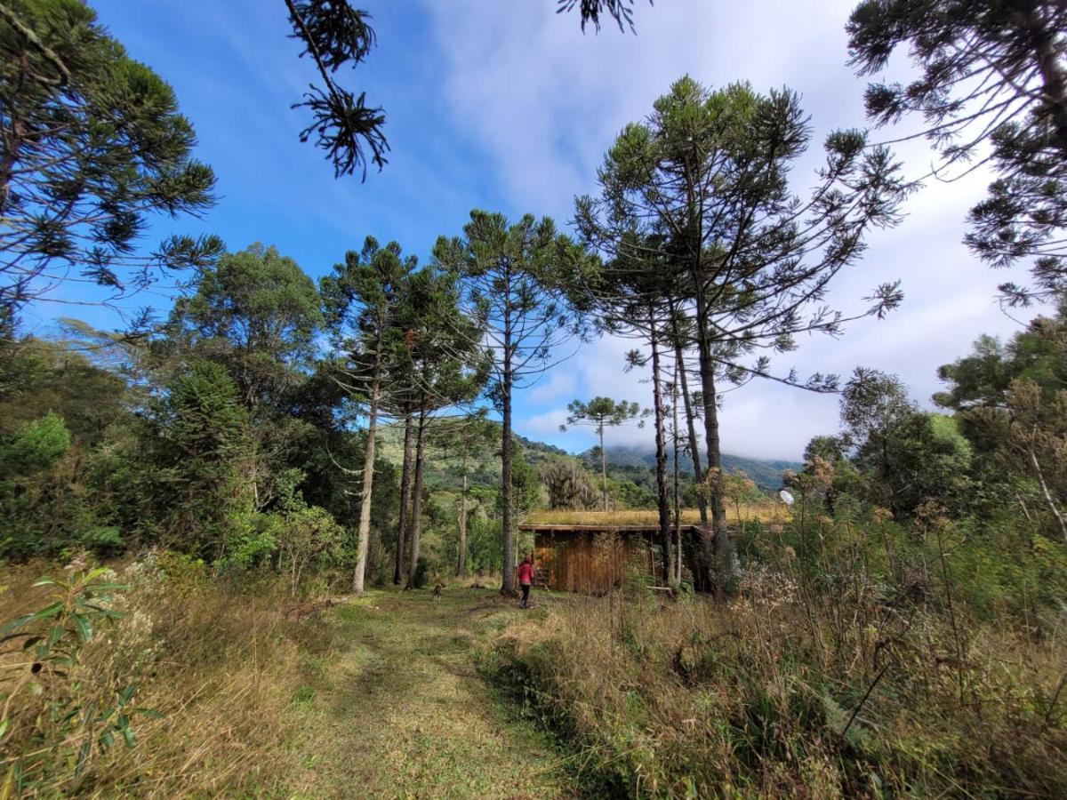 Yahoo Ecolodge Rio Rufino Bagian luar foto